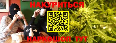 гидра Новозыбков