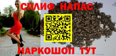 гидра Новозыбков