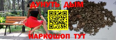 гидра Новозыбков