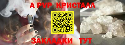 гидра Новозыбков
