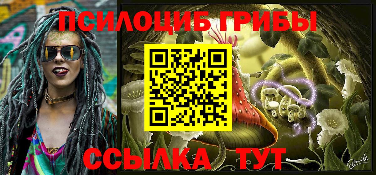Ревда  наркошоп  Вход с VPN  Галлюциногенные грибы мицелий  Галлюциногенные грибы Cubensis 
